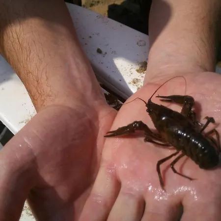 Osrodek Wypoczynkowy Raj Mostowo