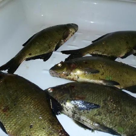 Parco vacanze Osrodek Wypoczynkowy Raj *